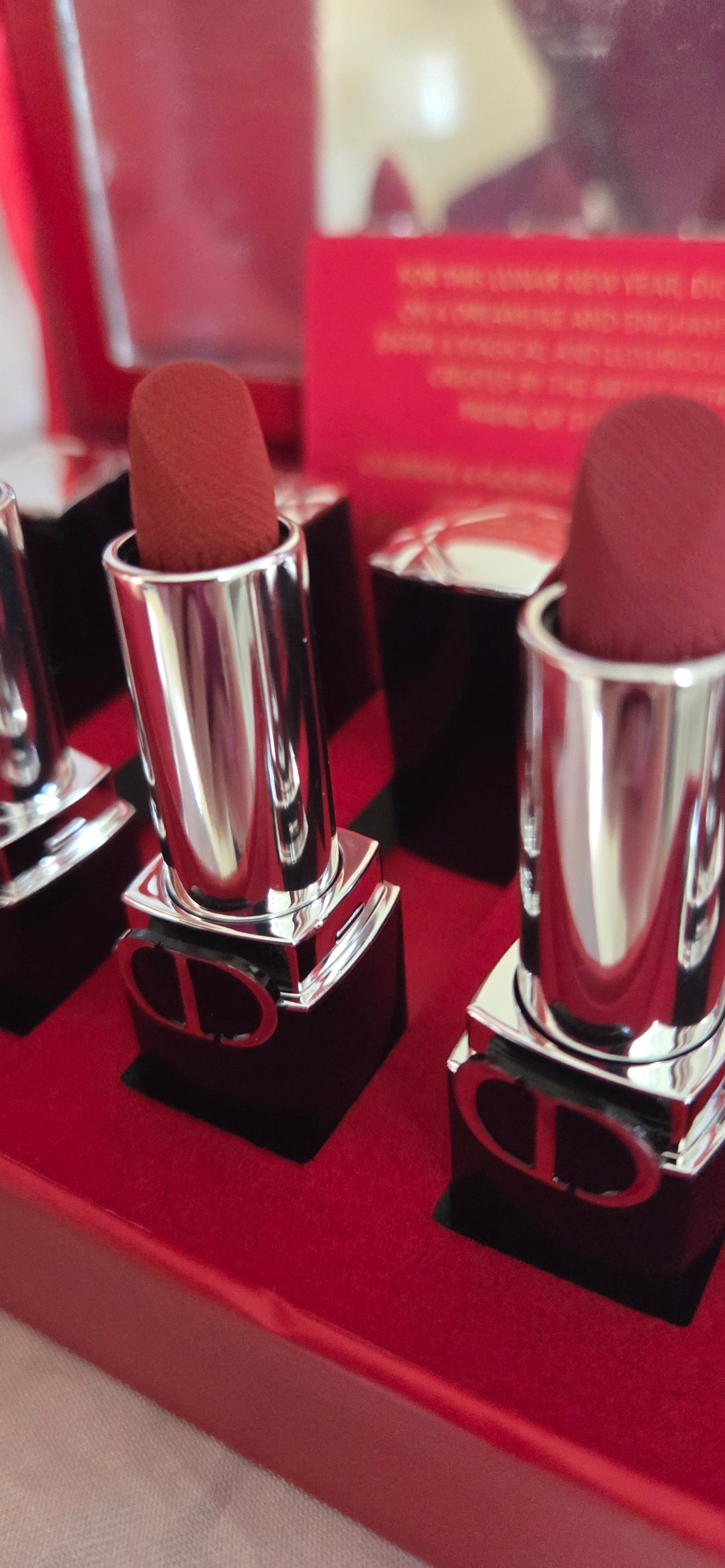 Estuche de Labiales al estilo Dior