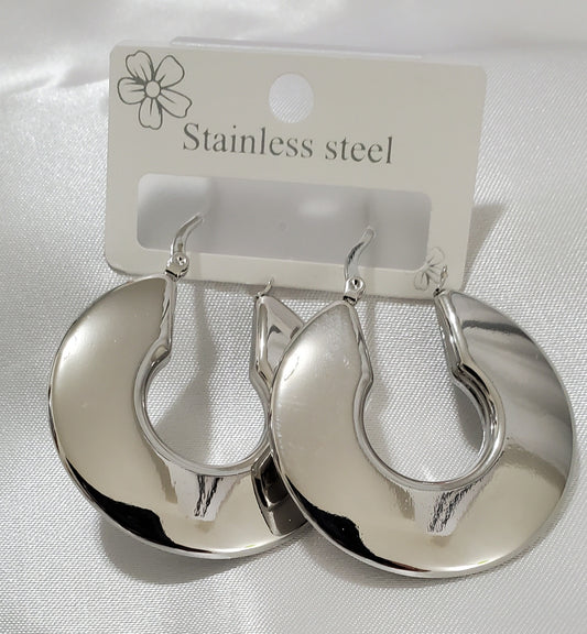 Julia Stainless Steel Silver Earrings